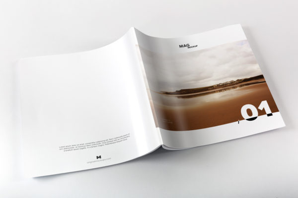 方形杂志封面＆封底印刷效果图样机 Square Magazine Back Cover Mockup