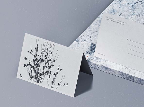 折页明信片设计样机PSD模板 Folded Postcard Mockup (PSD)