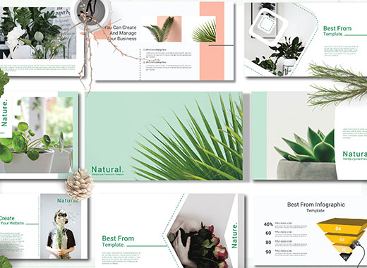 Natural Powerpoint Template干净、现代、多用途的商业化PPT模板下载[pptx]