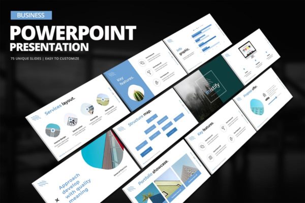 项目投标项目介绍PPT幻灯片模板 Business Powerpoint Presentation