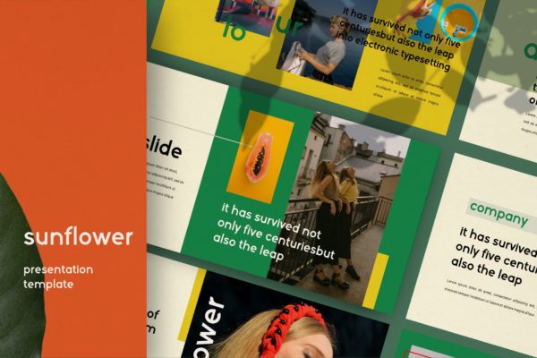 摄影工作室介绍PPT模板素材下载 Sunflowers – Powerpoint缩略图 摄影工作室介绍PPT模板素材下载 Sunflowers – Powerpoint