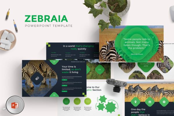 动物斑马研究主题PPT幻灯片模板 Zebraira – Powerpoint Template