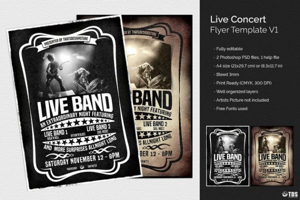 现场音乐会海报传单PSD模板 V1 Live Concert Flyer PSD V1