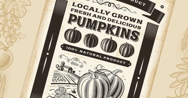 复古设计风格南瓜农产品促销海报模板 Vintage Pumpkin Harvest Poster缩略图 复古设计风格南瓜农产品促销海报模板 Vintage Pumpkin Harvest Poster