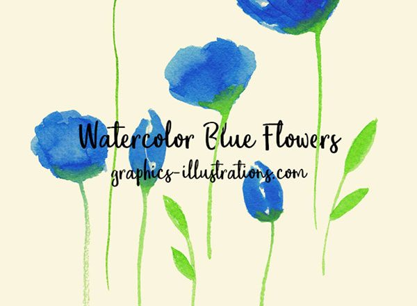 水彩花朵插画 Free Watercolor Blue Flowers缩略图 水彩花朵插画 Free Watercolor Blue Flowers