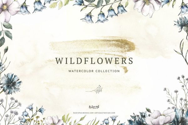 路边野花不要采-精选野花水彩剪切画 Wildflowers缩略图 路边野花不要采-精选野花水彩剪切画 Wildflowers
