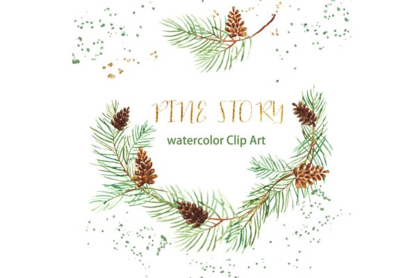松枝水彩剪切画 Pine branches. Watercolor Clip Art.