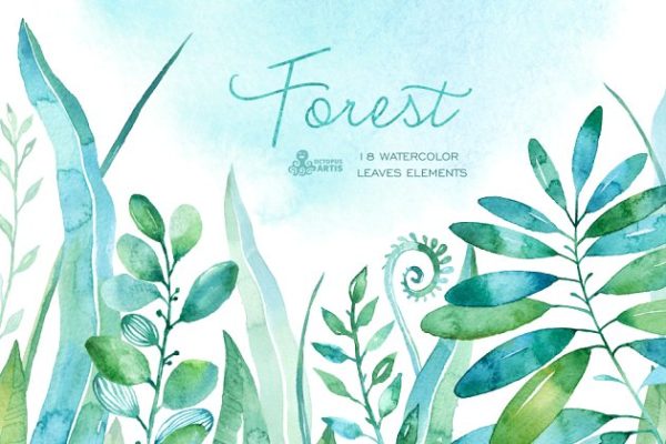 森林水彩树叶素材 Forest watercolor leaves