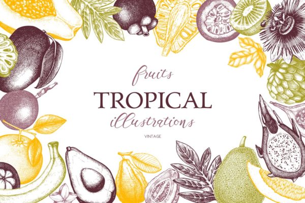 热带亚热带水果矢量图形套装 Vector Exotic Fruits & Plans Set缩略图 热带亚热带水果矢量图形套装 Vector Exotic Fruits & Plans Set