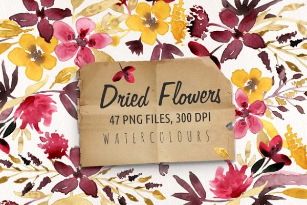 花卉标本水彩剪切画 Dried Flowers