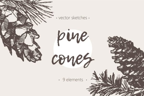 松树素描剪贴画 Sketches of pine cones缩略图 松树素描剪贴画 Sketches of pine cones