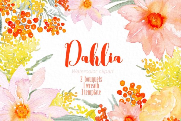 粉红色和橙色天竺牡丹水彩画素材 Pink & orange Dahlia Watercolors