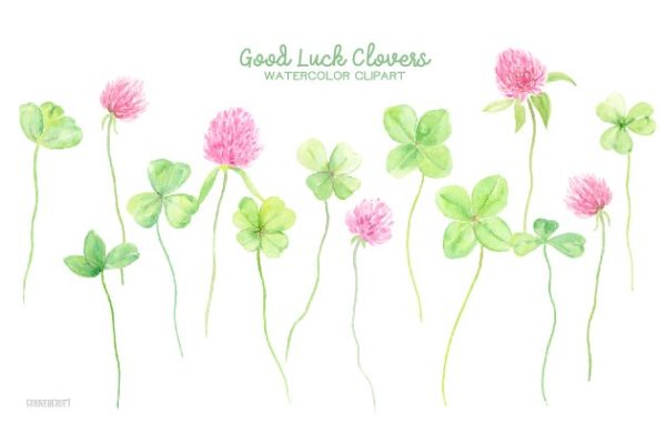 幸运水彩花卉剪贴画 Watercolor Clipart Good Luck Clovers缩略图 幸运水彩花卉剪贴画 Watercolor Clipart Good Luck Clovers
