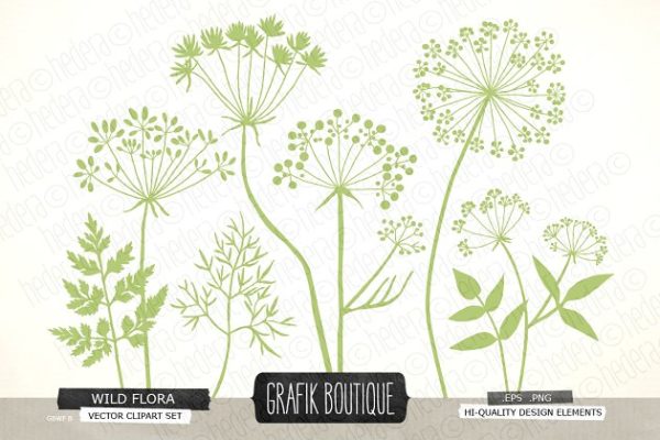 野生草本花卉矢量剪贴画 Wild Herbs Flowers silhouette vector缩略图 野生草本花卉矢量剪贴画 Wild Herbs Flowers silhouette vector