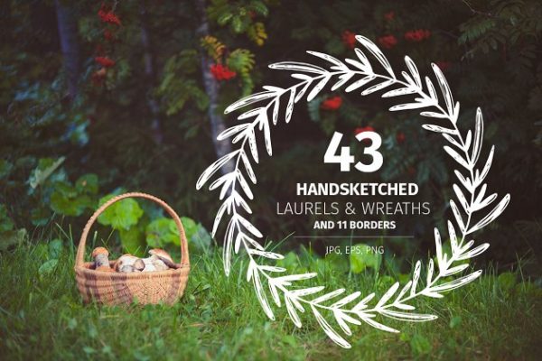 43款手绘桂冠花环 43 Handsketched Laurels & Wreaths