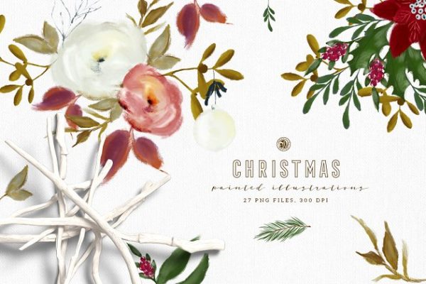 圣诞主题花卉绘画素材 Christmas Paint Illustrations