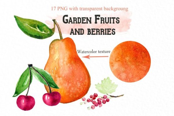 水果&浆果水彩剪贴画 Fruits & berries watercolors缩略图 水果&浆果水彩剪贴画 Fruits & berries watercolors