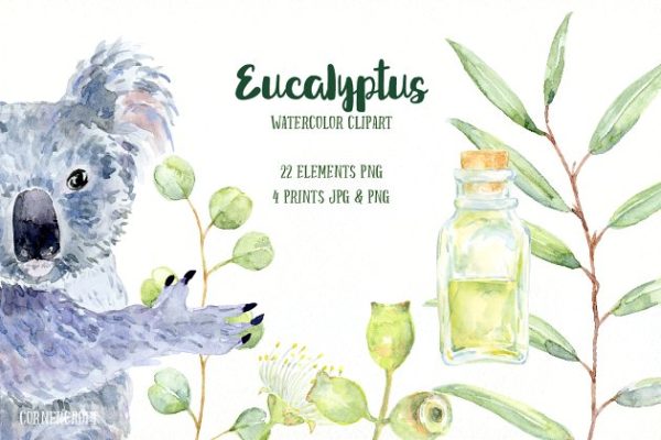 桉树与考拉水彩剪贴画 Watercolor Eucalyptus Koala Clip Art缩略图 桉树与考拉水彩剪贴画 Watercolor Eucalyptus Koala Clip Art