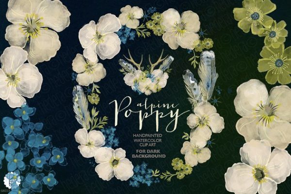 水彩阿尔卑斯罂粟花卉花环 Watercolor wreath alpine poppy dark缩略图 水彩阿尔卑斯罂粟花卉花环 Watercolor wreath alpine poppy dark