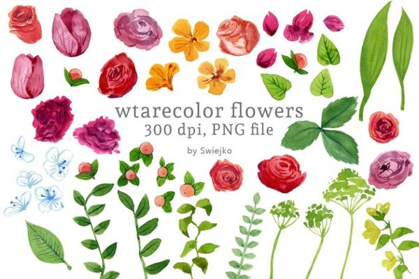 水彩花卉剪贴画 Watercolor Flowers缩略图 水彩花卉剪贴画 Watercolor Flowers