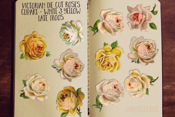 黄色&白色玫瑰花剪贴画 Yellow & White Rose Clip Art Flowers缩略图 黄色&白色玫瑰花剪贴画 Yellow & White Rose Clip Art Flowers