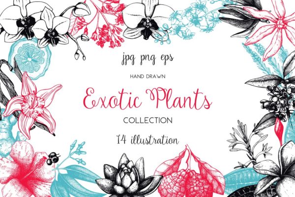复古风奇花异草设计素材集 Vinatge Exotic Plants & Flowers Set