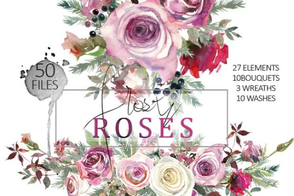 霜白玫瑰花水彩画设计素材 Frosty Roses Watercolor Flowers Set