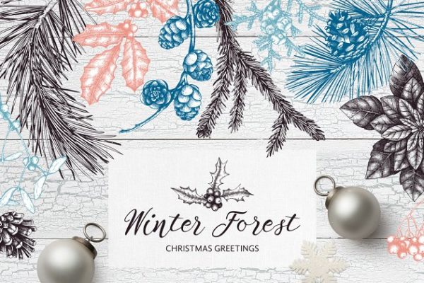 手绘冬天森林元素 Winter Forest Hand Drawn Elements