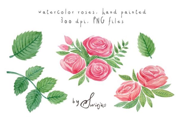 简约水彩玫瑰花剪贴画 Watercolor Roses缩略图 简约水彩玫瑰花剪贴画 Watercolor Roses