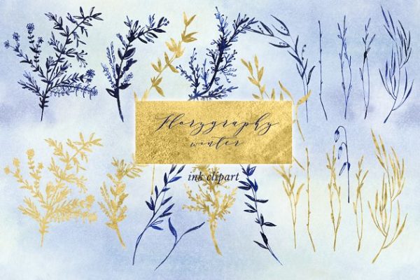 冬季植物志墨水剪贴画 Florygraphy winter. Ink clipart.