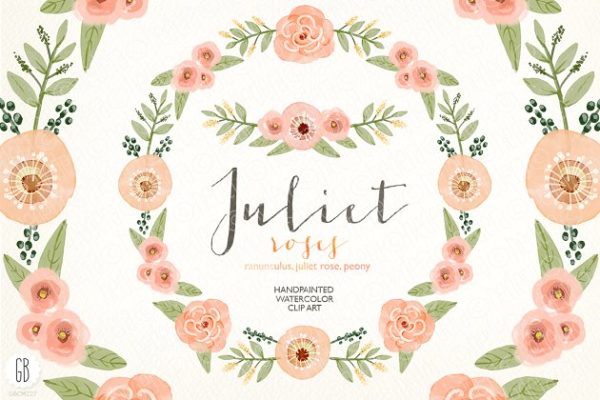 水彩珊瑚橄榄花环素材 Watercolor coral olive floral wreath