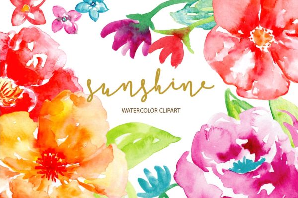 阳光灿烂水彩花卉剪贴画 Watercolor Illustration Sunshine缩略图 阳光灿烂水彩花卉剪贴画 Watercolor Illustration Sunshine