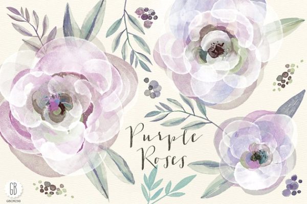 紫色玫瑰和树叶水彩剪贴画 Watercolor purple roses and leaves缩略图 紫色玫瑰和树叶水彩剪贴画 Watercolor purple roses and leaves