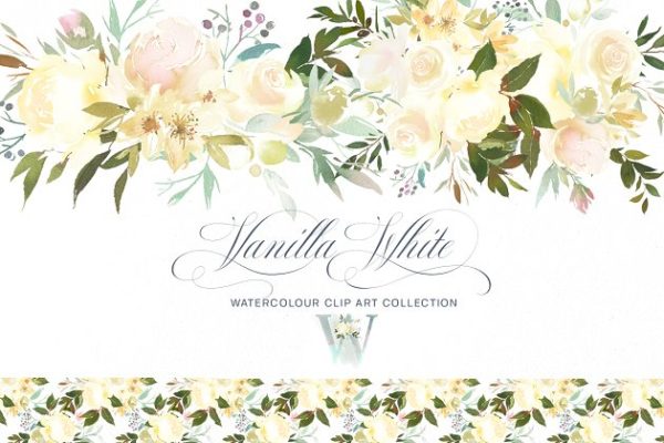 白色香草水彩花卉剪贴画 Vanilla White Watercolor Flowers