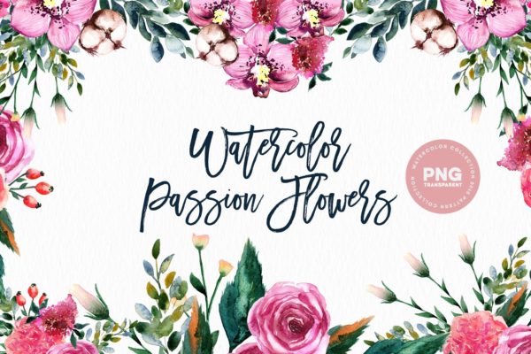 西番莲水彩剪贴画 Watercolor Passion Flowers缩略图 西番莲水彩剪贴画 Watercolor Passion Flowers