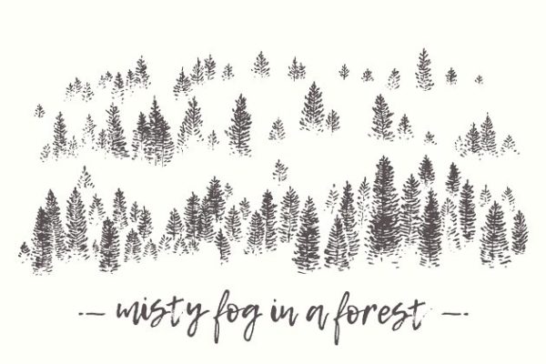 雾蒙蒙松岭素描图形 Misty fog in a pine forest