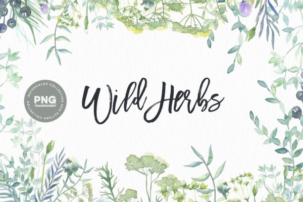 野菜水彩剪贴画 Watercolor Wild Herbs