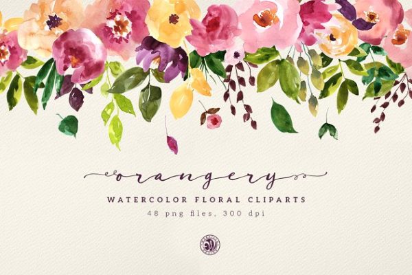 橘园水彩花卉剪贴画 Orangery Watercolor Flowers