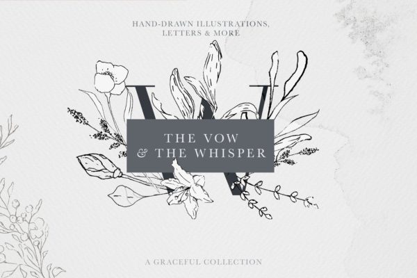 优雅风格手绘花卉插图&字母素材 Floral Alphabet & Illustrations