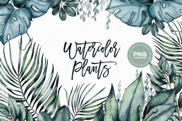 素色水彩植物剪贴画 Watercolor Plants缩略图 素色水彩植物剪贴画 Watercolor Plants