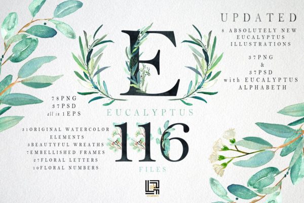 桉树叶水彩剪贴画&水彩装饰字体 Eucalyptus. Watercolor clipart.缩略图 桉树叶水彩剪贴画&水彩装饰字体 Eucalyptus. Watercolor clipart.