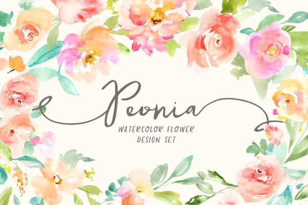 水彩花卉插画素材套装 Peonia Watercolor Flowers Set