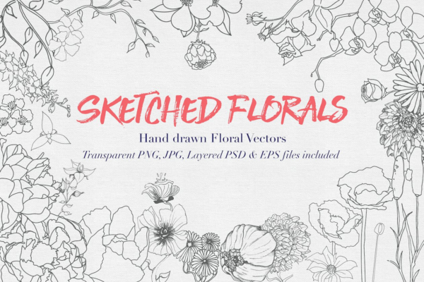 铅笔手绘素描矢量花卉素材 Hand drawn Sketched Flower Vectors