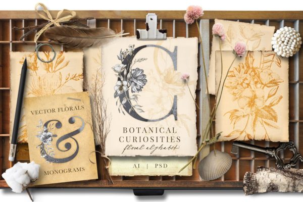 植物与字母的奇思妙想插画 Botanical Curiosities Monograms