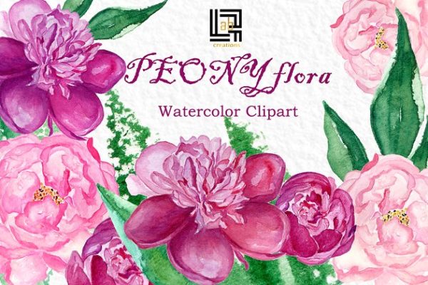 牡丹花丛水彩花卉剪贴画 Peony flora watercolor flowers