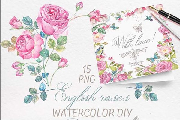 手绘水彩英国玫瑰花卉插画 Hand drawn watercolor english roses