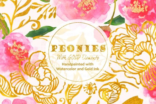 金箔风格牡丹插画 Peonies with Gold Ink