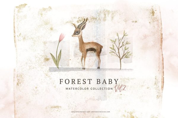 森林动物宝宝水彩插画v2 Watercolor Forest Baby Vol.2缩略图 森林动物宝宝水彩插画v2 Watercolor Forest Baby Vol.2