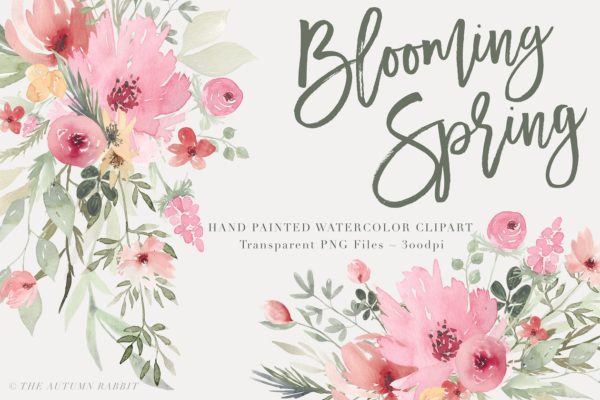 春暖花开水彩花卉插画 Blooming Spring – Watercolor Flowers