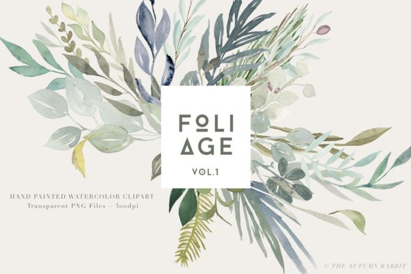 水彩植物叶子树叶插画 Foliage – Watercolor Leaves缩略图 水彩植物叶子树叶插画 Foliage – Watercolor Leaves